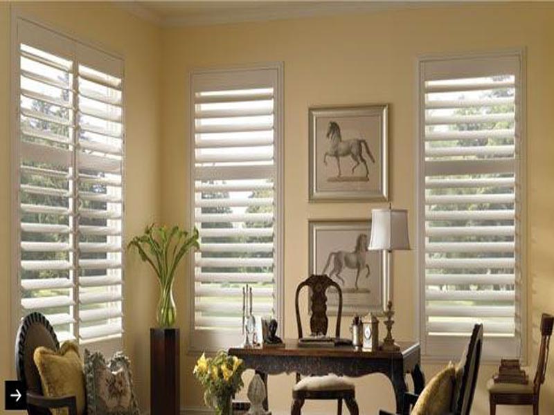 Stylish Window Blinds